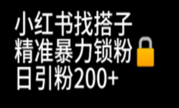 教你小红书暴.力精准引流锁粉，日引200+精准粉轻松简单
