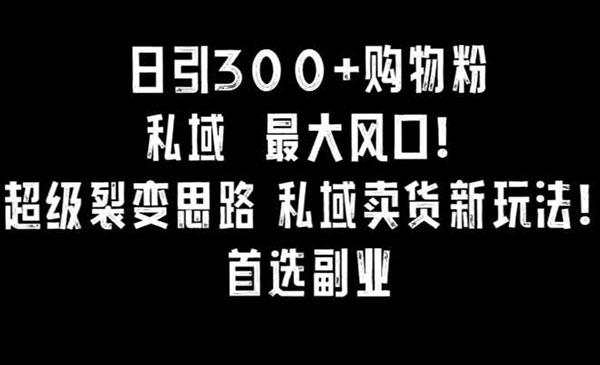 《小红书私域卖货新玩法》日引300+购物粉裂变思路和私域卖货新玩法
