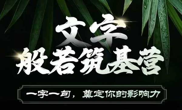 用文字打造你的影响力，一字一句变成故事朔造你的IP人设和品牌！（17节实操课）