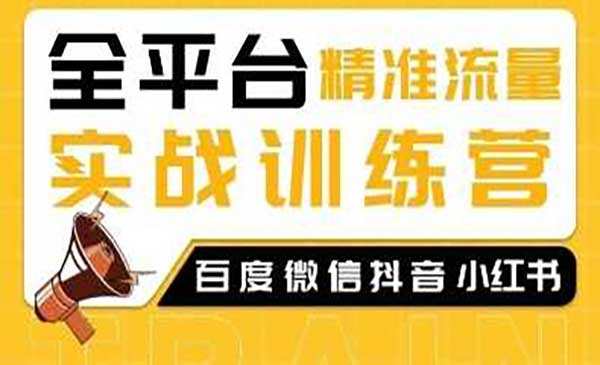 全平台精准引流，网上热门平台引流的实操训练营教程（20节课程）
