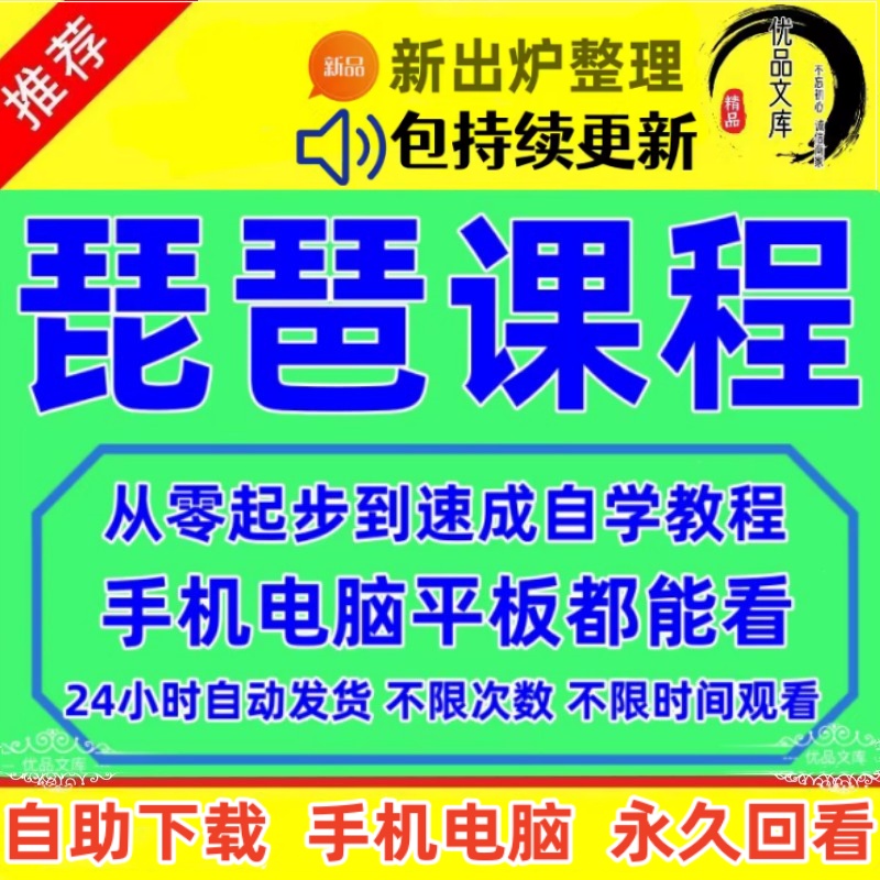青少年儿童琵琶视频教程，琵琶初学入门从零起步资料 开始自学琵琶速成视频课程